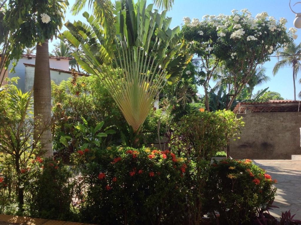Apartamentos La Piazzetta Duplex Praia de Pipa Dış mekan fotoğraf